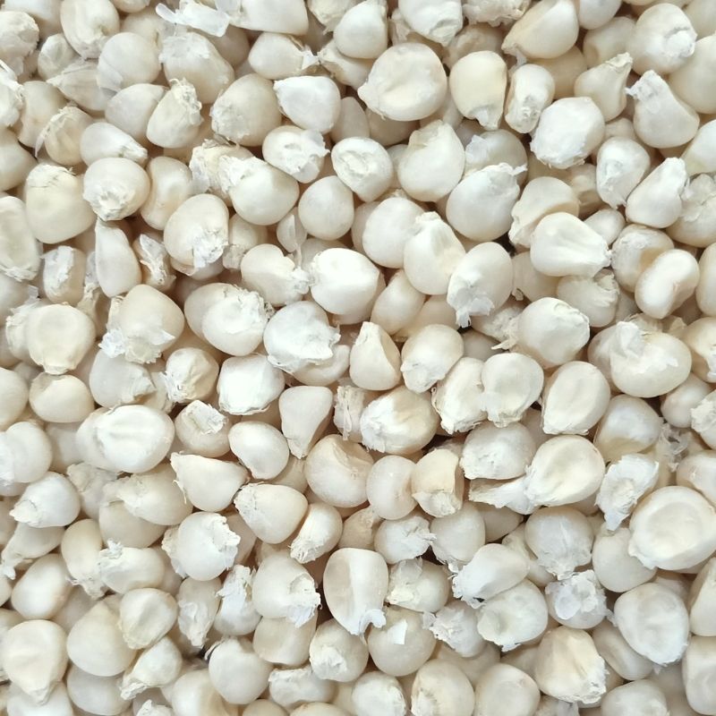 R & D Seed selection by expert